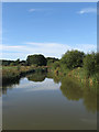 TQ2318 : Henfield and District Anglers' Fishing Pond by Simon Carey