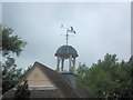 Peldon Rose weather vane