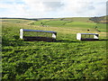 Sheep racks on Bicton Hill