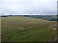 Farmland near Turf Hill