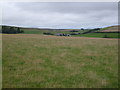 Farmland near Burreldales