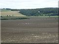 Farmland near North Sandlaw