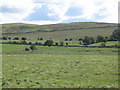 Pastures southeast of Gingle Pot