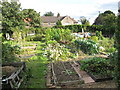 Allotments, The Crescent, East Acton