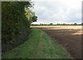 Walkford, footpath