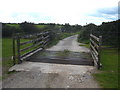 Cattle grid on the track to Great Gimble