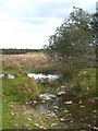 Small stream near Higher Gimble