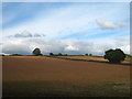 Recently sown field at Treworgey