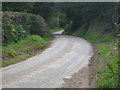 A windy lane at Higher Trengale