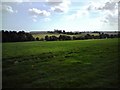 Valley Near Hemingstone Hall