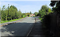 Looking along Torville Drive