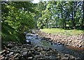 River Cover, nr. Braidley