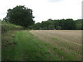 Footpath to Imbhams Farm