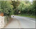 Jogging into Sedbury