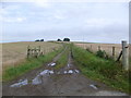 Farm track near Gerriesford