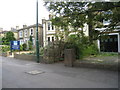 Buildings along The Avenue