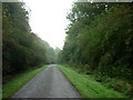 Croxby Pond Plantation towards Thorganey