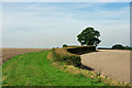 Curving hedge, Heyshott