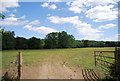 Gate to a field by the Downs link