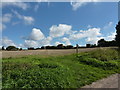 Farm land east of Lavenham