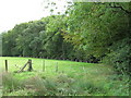 Fence near Hayton Wood