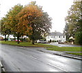 Autumn leaves, Grove Park, Cwmbran