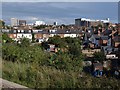 Allotments, Reading West