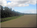 Track by woods just north of River Severn