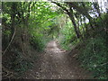 North Downs Way on Brabourne Downs byway