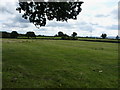 Ridge and furrow in a field at Rushton