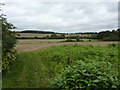 Hedgerow, setaside and farmland