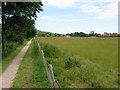 Canal path towards Hythe