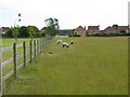 Houses on West Hythe Road