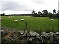 Urney Townland