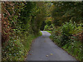 Minor road past Ty-newydd