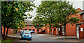 Eureka Drive, Belfast (1)