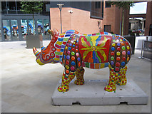 SJ4065 : Rhino Mania - #33 Armour Plated rhino in HQ Piazza by John S Turner