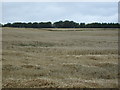 Farmland, Hill of Laithers