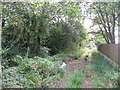 Route of dismantled railway near Radyr