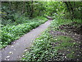 Footpath in New Hall Wood