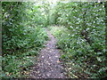 Footpath from Garden Village, Stocksbridge