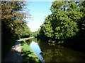 Walking along the Leeds to Liverpool Canal #233