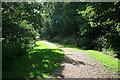 Path in the Millhams Mead Nature Reserve