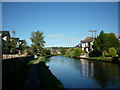 Walking along the Leeds to Liverpool Canal #254