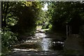 A ford through the River Caen near Stocklands Lane