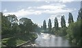 River Ouse - Clifton Bridge