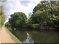 Grand Union Canal near Norwood Green