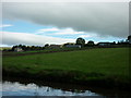 Walking along the Leeds to Liverpool Canal #316