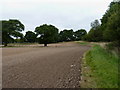 Fieldside path near Donnington