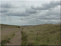 TG0644 : Twitchers near Arnold's Marsh, on Cley Marshes by Peter Barr